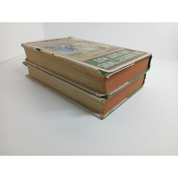 Vtg The Bobbsey Twins Books Hardcover Lot of 2 Laura Lee Hope Baby May Houseboat - Picture 10 of 10